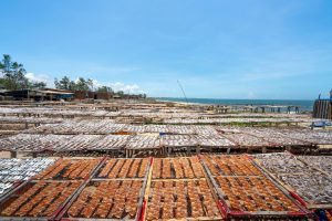 The Importance of Sourcing Sustainable Seafood Options