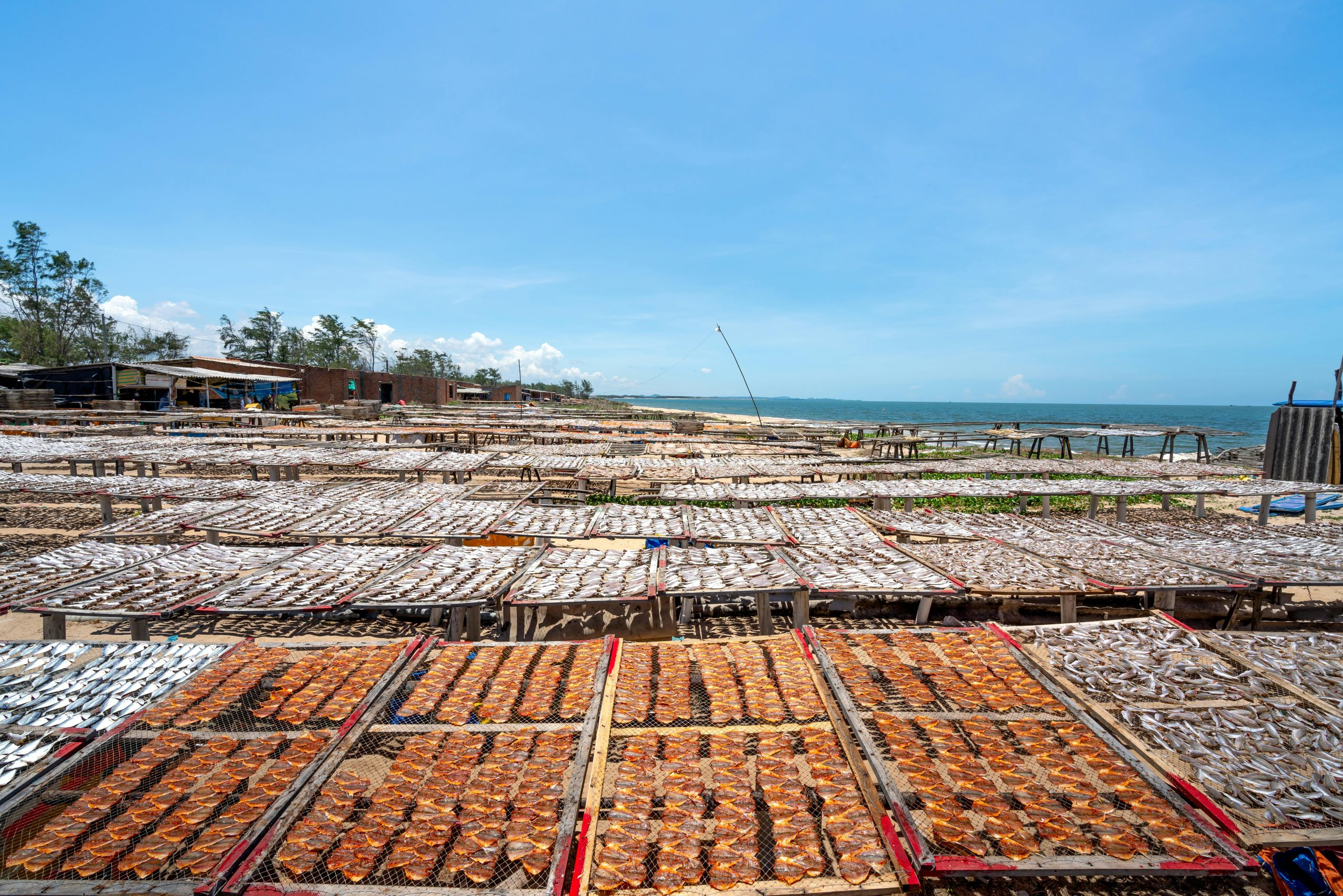 The Importance of Sourcing Sustainable Seafood Options