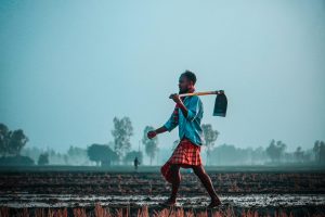 The Essential Guide to Understanding Labor Unions and Rights