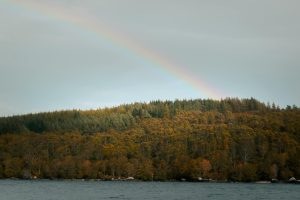 Understanding the Different Grades of Olive Oil Quality