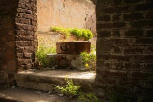 Exploring Green Building Certifications and Their Importance