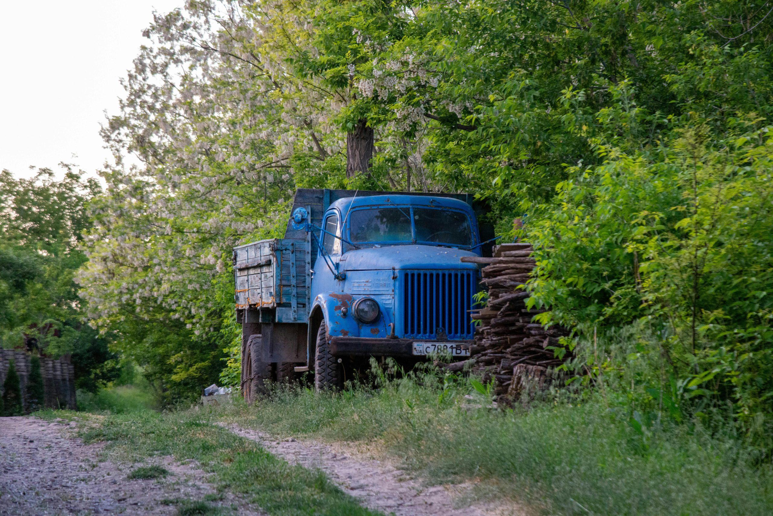 Exploring the History of Jazz: Improvisation and Innovation