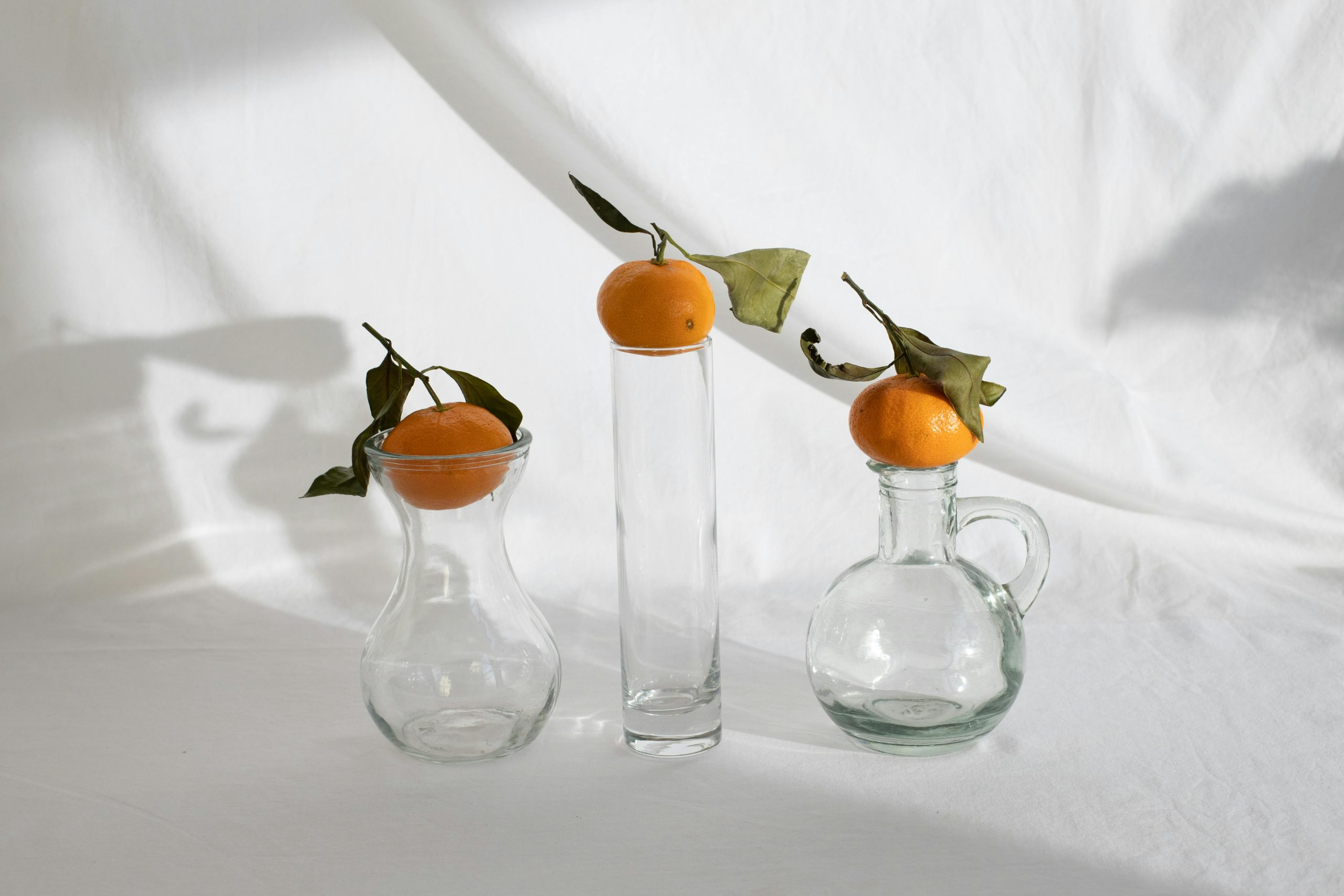 The Role of Transparency in Product Ingredient Labeling