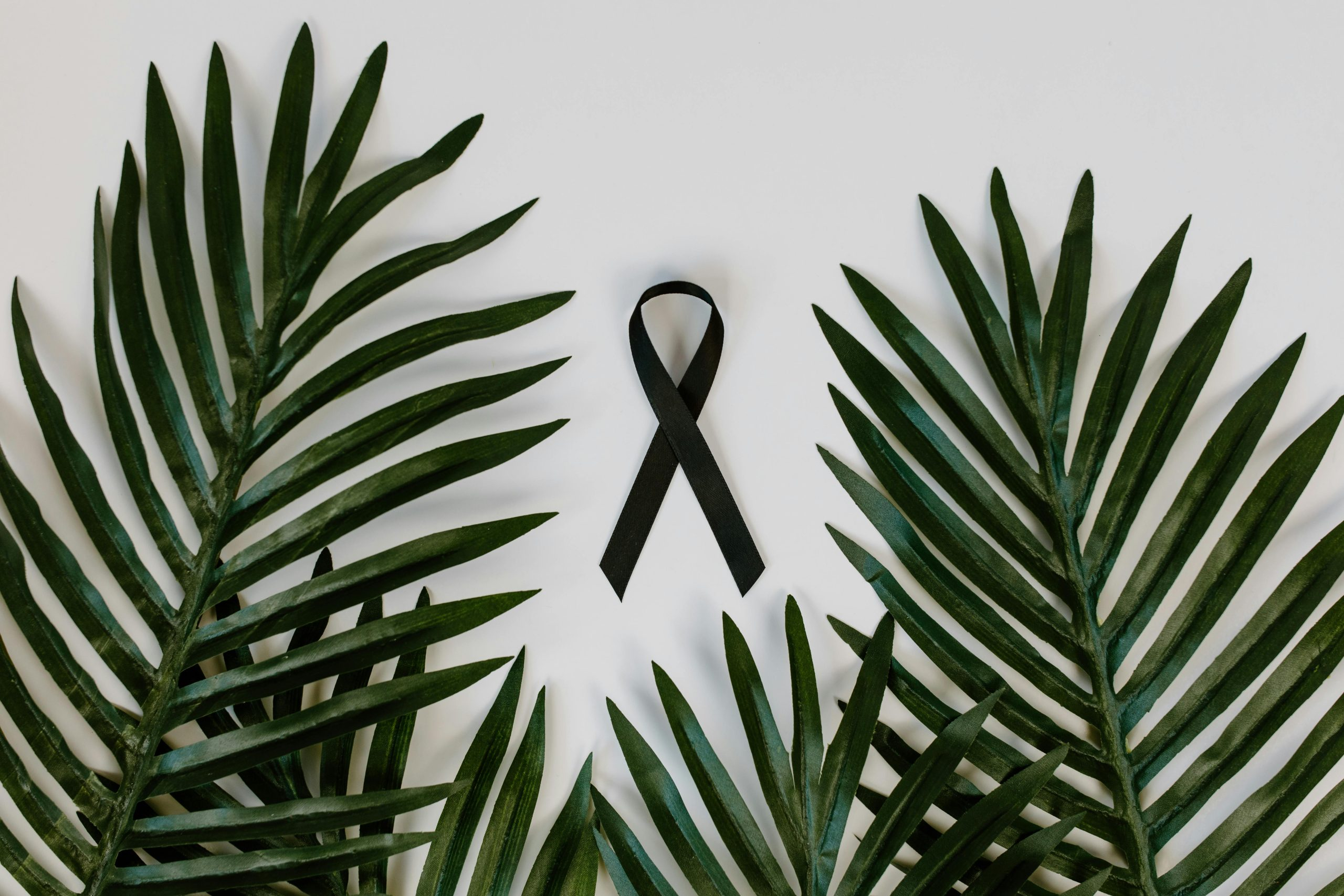 Simple Strategies for Improving Your Memory and Recall